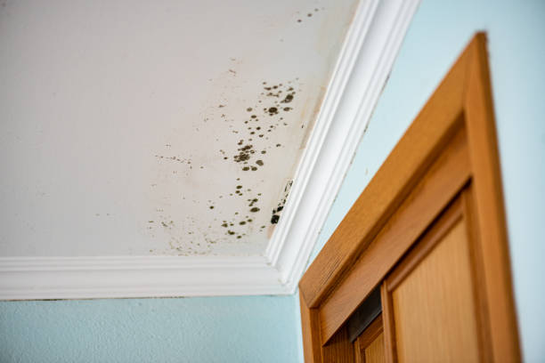 Best Water Damage Restoration  in Kellyville, OK