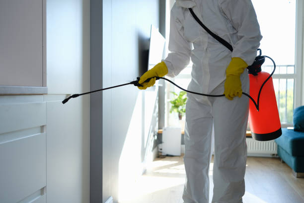 Best Mold Remediation  in Kellyville, OK