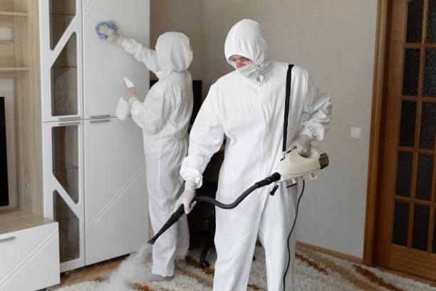 Best Mold Inspection  in Kellyville, OK