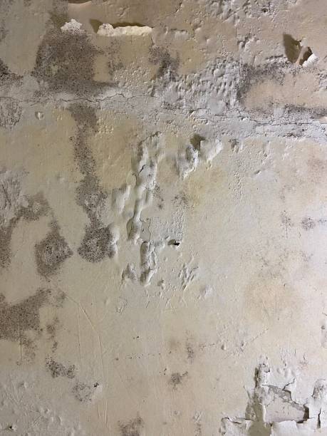 Best Emergency Mold Removal  in Kellyville, OK